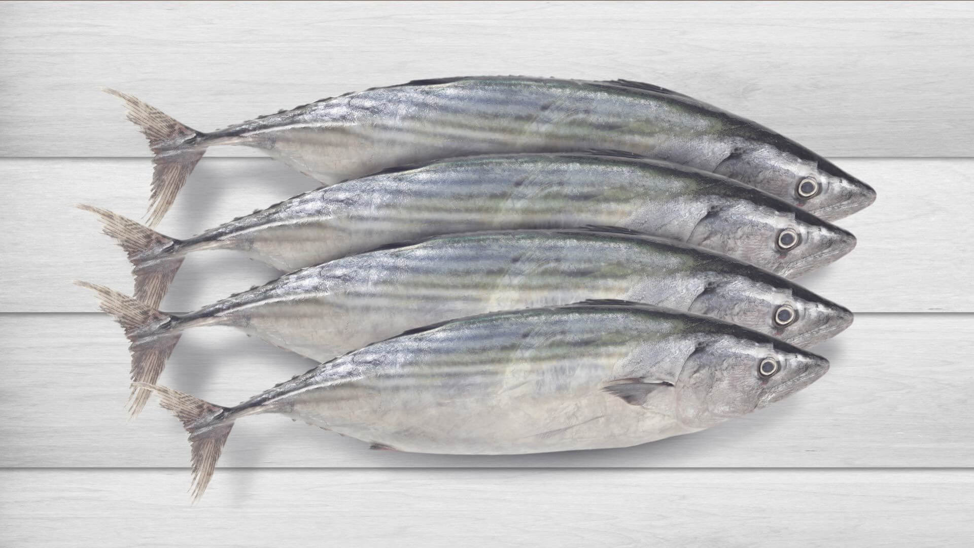 Balığın Taze Olduğunu Nasıl Anlarız?